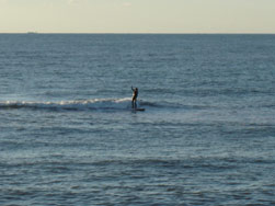 Long board surfer on a small wave. Click to zoom